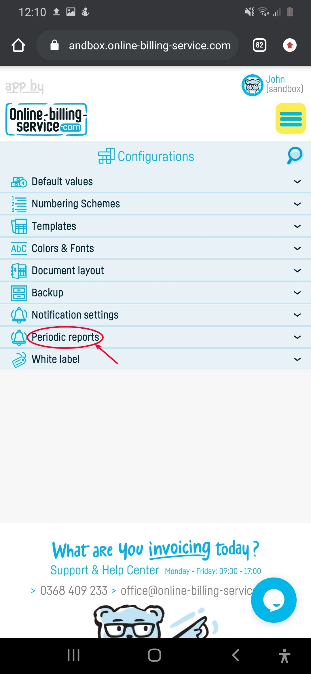 Account activity reports and total invoiced report - step 2